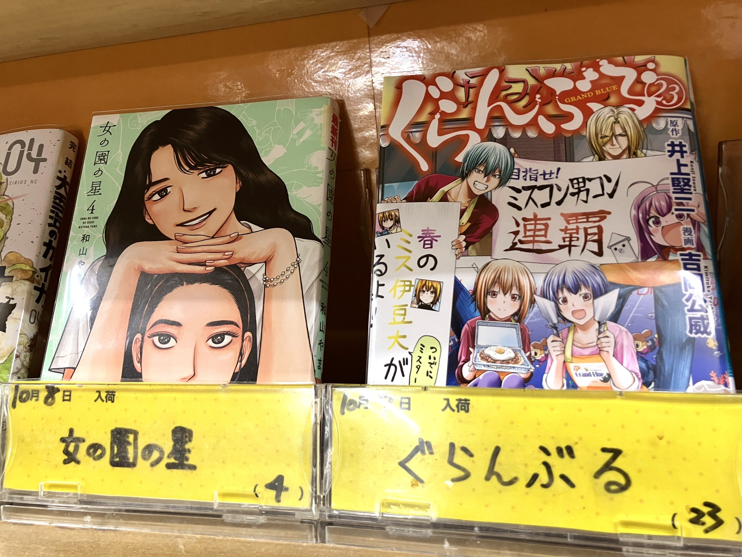 店長オススメ！女の園の星　ぐらんぶる最新刊入荷しました♪|まんがランド門前仲町店